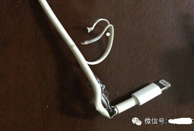 海贼零满破数据_苹果充电线胶皮破了_苹果数据线胶皮破了